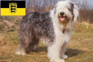 Read more about the article Criadores de Bobtail e cachorros em Baden-Württemberg